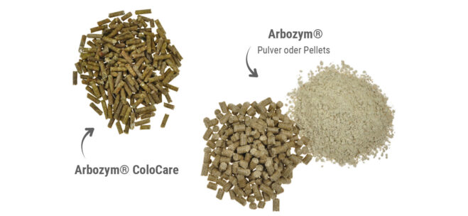 Arbozym® gegen Kotwasser bei Pferden